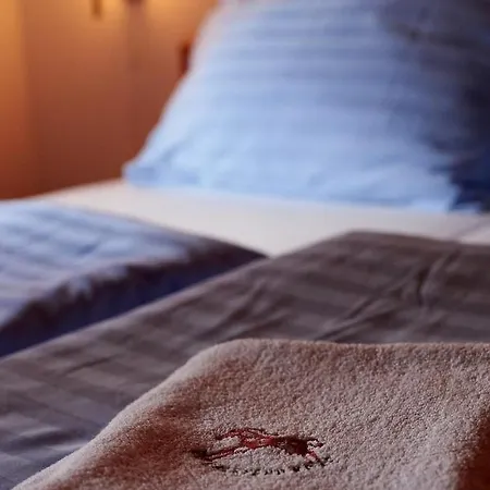 U Strakatého Koně 3* Blansko