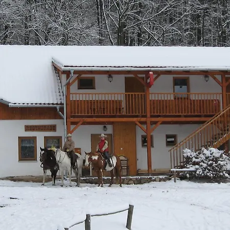 Maison d'hôtes U Strakatého Koně 3*