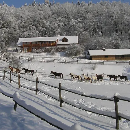 Maison d'hôtes U Strakatého Koně Blansko