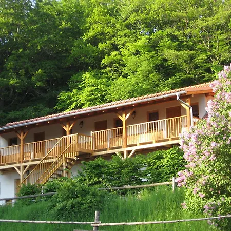 Maison d'hôtes U Strakatého Koně 3*